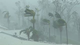 Extreme Wind Flying Debris Wrecked Boats  Cyclone Debbie 4K Stock Footage Reel [upl. by Tjaden]