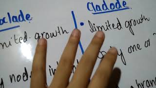 Difference between Rhizome and Corm Difference between Phylloclade and Cladode [upl. by Ul]