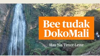 Esplora beleza Natureza bee tudak Dokomali Aldeia Lebulau [upl. by Paterson]