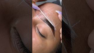 A closer look into a brow lamination tint amp shaping 🔍 browlamination browgoals browtint brows [upl. by Darnell333]