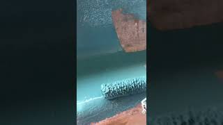 Painting a Pool using Chlorinated Rubber Paint satisfying painting pools [upl. by Asilanna]