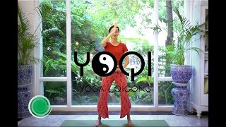 Qigong for Beginners [upl. by Lekym]