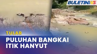 TULAR  Bangkai Itik Hanyut Di Pusat Rekreasi Lubuk Timah [upl. by Eicarg]