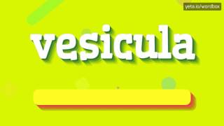 VESICULA  HOW TO PRONOUNCE IT [upl. by Eedissac473]