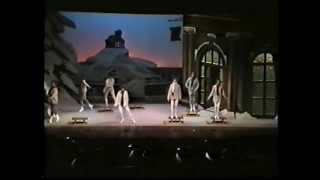 LA DANZA DELLE LIBELLULE  Compagnia Italiana di Operette [upl. by Mendelson852]