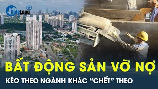 Bất động sản NGUY CƠ VỠ NỢ khiến ngành VLXD cũng quot chết theoquot  CafeLand [upl. by Eiramacissej385]