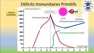 Déficit immunitaire primaire Humoral Cellulaire Combiné sévère Systeme innés adaptatifs Héréditaire [upl. by Etnor]