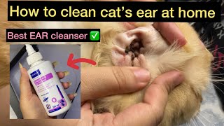 How to clean cat’s ear at home  virbac salicylic acid ear cleanser  best ear Cleanser for cats [upl. by Oretna173]