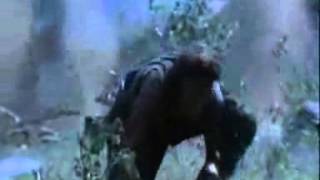 Platoon Clip  Elias Death Scene  YouTube [upl. by Field83]