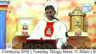 Fr Christuraj SHS  Tuesday Telugu Mass 1130am  StAnthonys Shrine Mettuguda  11024 [upl. by Okorih]