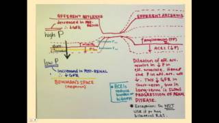 Postrenal Failure  CRASH Medical Review Series [upl. by Northrop]