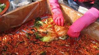 traditional winter kimchi making by Korean grandmother [upl. by Waller282]