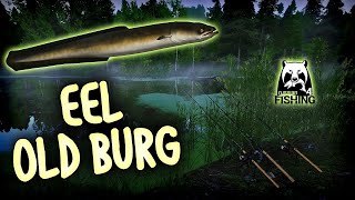 EEL TURNIR UPADAJTE   Russian Fishing 4 Live [upl. by Charmion]