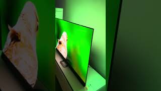 OLED 4K Ambilight TV von Philipps amp Sound von Bowers amp Wilkins [upl. by Atiana473]