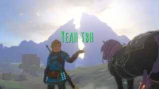 I Did 100 in Zelda TotK Was it Worth it [upl. by Fesoj162]