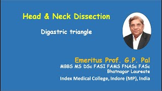 7 Digastric triangle [upl. by Howard]