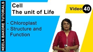 Cell  The unit of Life  NEET  Chloroplast  Structure and Function  Neela Bakore Tutorials [upl. by Vadim436]