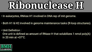 RNase H [upl. by Adnirod]