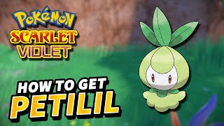 Pokemon Scarlet amp Violet How to get PETILIL Location [upl. by Hillard]