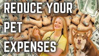 How to Save Money on your Pets Expenses  Veterinarian Explains [upl. by Kimmy]