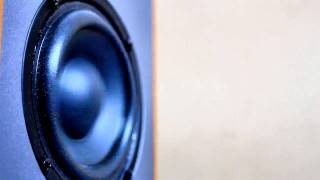 Speaker in slow motion [upl. by Aved]