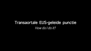 EUSgeleide transaortale punctie NL [upl. by Atterahs525]