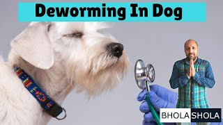 Deworming  Dewormed  Deworm  In Dogs  Puppys  Bhola Shola [upl. by Bessy]