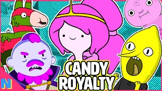 Princess Bubblegums COMPLETE Family Tree  Adventure Time Distant Lands [upl. by Vinay]