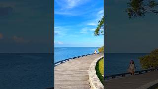 Seaside Stroll A Journey Along Biscayne’s Boardwalk  Biscayne National Park [upl. by Eus]