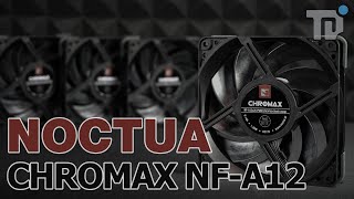 Noctua NFA12X25 Chromax  SilentLüfter komplett in SCHWARZ [upl. by Eidoj639]