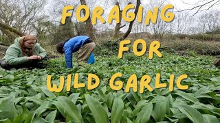 My nephews first time foraging for wild garlic and planting seeds in my allotment [upl. by Atinram404]