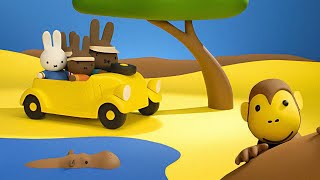 Miffy Goes On Safari  Miffy Explore the World  Animated show for kids [upl. by Utimer965]