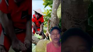 Monkey jackfruit vairall video  Bandar walla sorts funny bandar jackfruit monkey [upl. by Kinch]