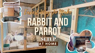 How to make Rabbit and Parrot setup at home  Mini budgies setup at home  hens and Roaster setup [upl. by Edwin]