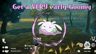 How to get Goomy VERY early  Pokémon Legends Arceus [upl. by Riccardo]