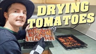 Make SunDried Tomatoes in a Toaster Oven [upl. by Edaj526]