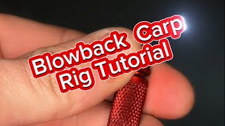 Blowback carp rig tutorial [upl. by Etteyniv805]