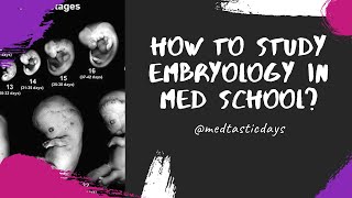 How to Study EMBRYOLOGY [upl. by Esinehc]