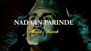 NADAAN PARINDE Slowed and Reverb  Kaaga re kaga re mori itni araj tose  Rockstar  Ranbir Kapoor [upl. by Arrio]