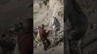 RDR2 LEGENDARY Horses Location pt2 rdr2 shorts [upl. by Jangro864]