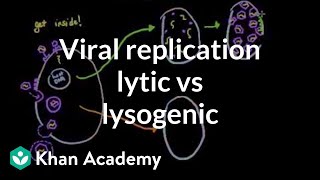 Viral replication lytic vs lysogenic  Cells  MCAT  Khan Academy [upl. by Aikcir]