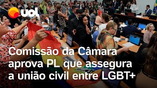 Comissão da Câmara aprova projeto de lei que garante a união civil homoafetiva texto segue para CCJ [upl. by Jerold115]