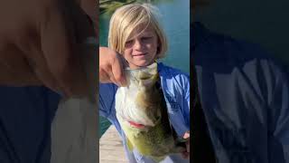 Another Big Boy on a Goldfish Rig 🐟 largemouthbassin freshwaterfish largemouthbass fishing [upl. by Franciska]