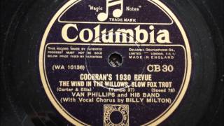 The wind in the Willows  Van Phillips and his Band [upl. by Tamarra]