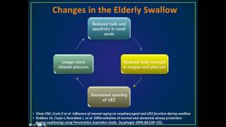 e168 Preview Gauging the Aging Swallow [upl. by Loyce]