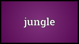 Jungle Meaning [upl. by Ahseret]