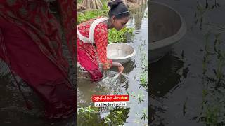 చెల్లితో చేపల వేట🥲🐠DAY11fishing fishermanlifestyle village fishinglifefishingvideo ytshorts [upl. by Akanke74]