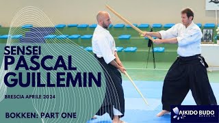 Pascal Guillemin bokken part one in Brescia [upl. by Gillie102]