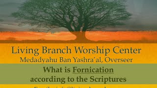 What Is Fornication According To Scripture [upl. by Aritak78]