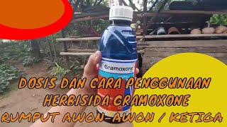 Cara penggunaan herbisida GRAMOXONE dan Dosis penggunaan gramoxone [upl. by Nima661]